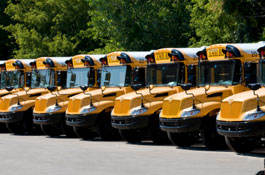 Duffy Real Estate, Inc. School Information