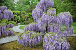 Main Line Philadelphia Park Information